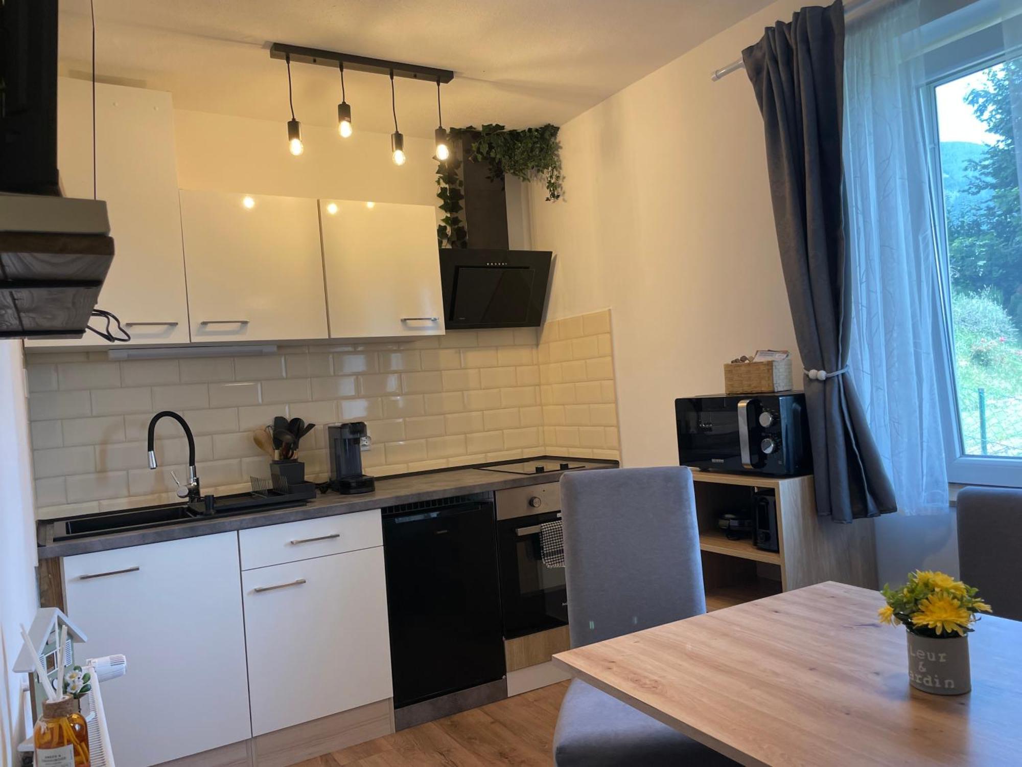 Maxi'Seeblick Apartments 塞博登 外观 照片